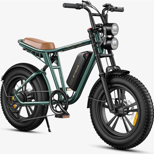 Engwe M20 electric bike (single battery) green