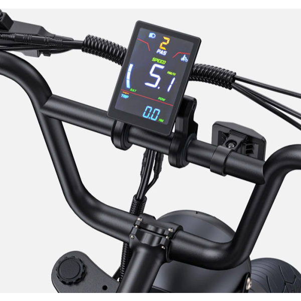 Engwe M1 electric bike dual battery black color